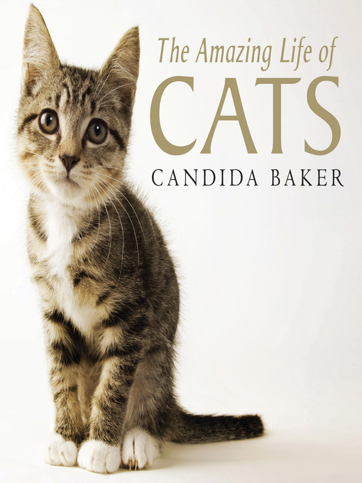 Title details for The Amazing Life of Cats by Candida Baker - Available